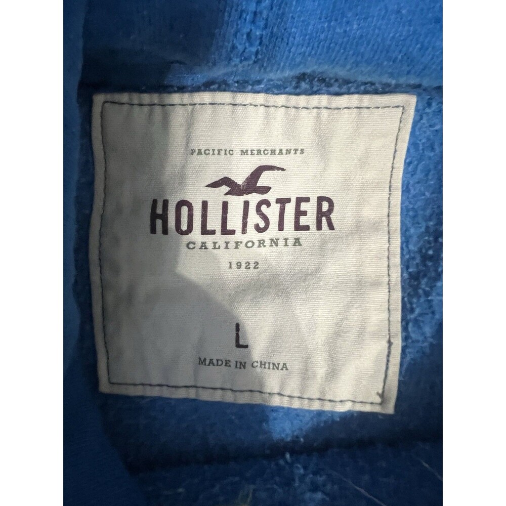 Hollister Icon Seagull Pullover Blue Hoodie Sz Large - Picture 4 of 11